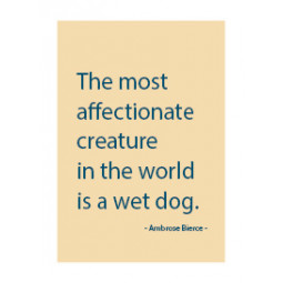 Magnet/The most affectionate